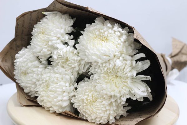 Букет из 7 хризантема одноголовая