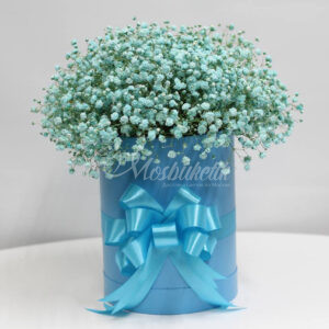 Букет из 19 шт гипсофил