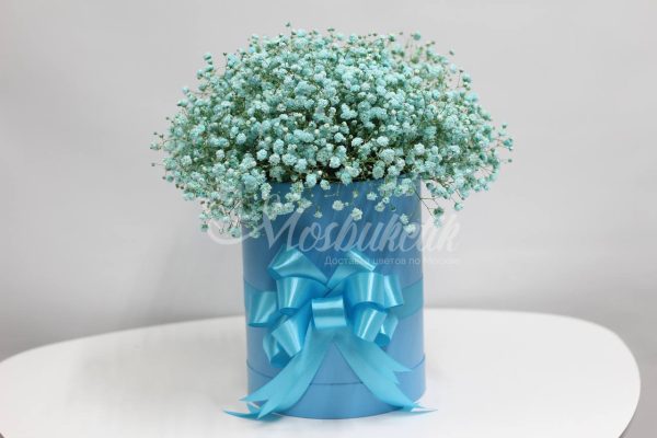 Букет из 19 шт гипсофил