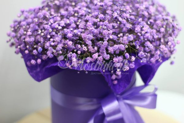 Букет из 19 шт гипсофил