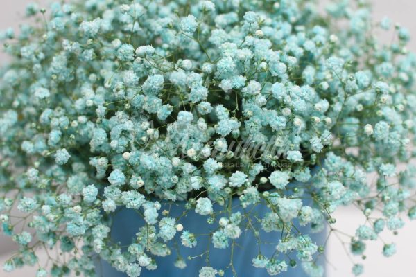 Букет из 19 шт гипсофил