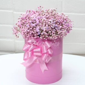 Букет из 19 шт гипсофил