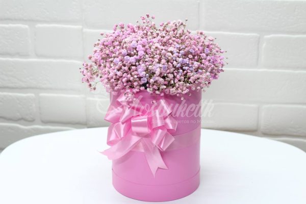 Букет из 19 шт гипсофил