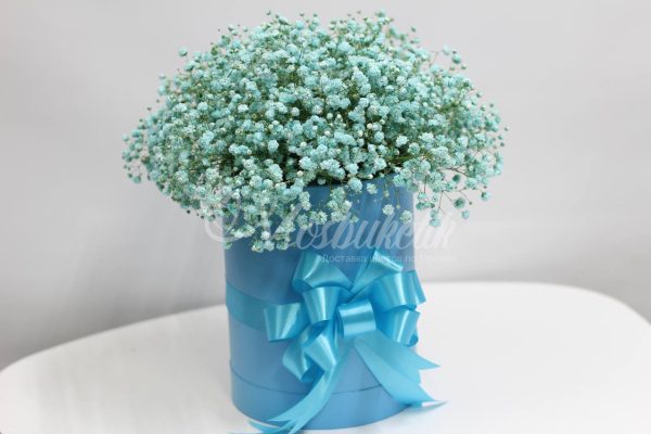 Букет из 19 шт гипсофил