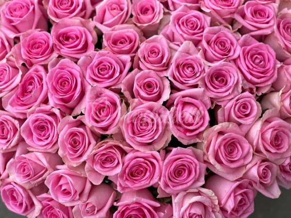 Букет из 101 розовых роз в виде сердца в корзине