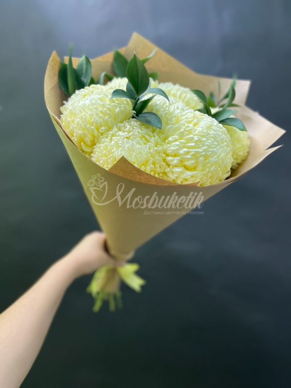 Букет из 7шт крымских хризантем с рускусом