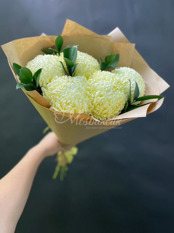 Букет из 7шт крымских хризантем с рускусом
