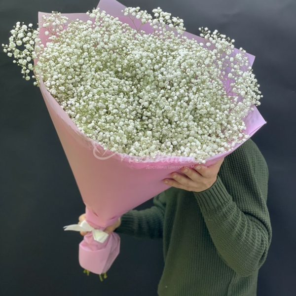 Букет из 25шт гипсофил