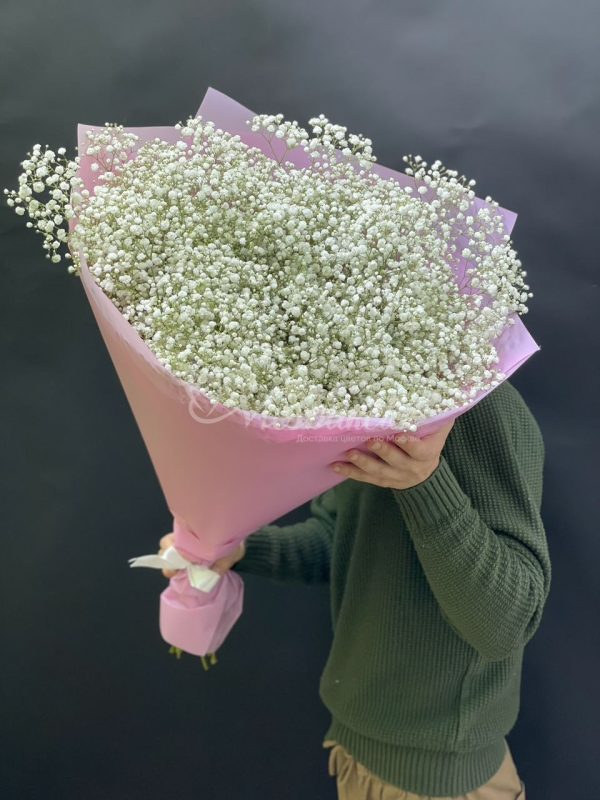 Букет из 25шт гипсофил