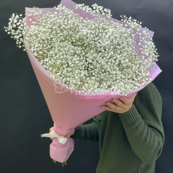 Букет из 25шт гипсофил