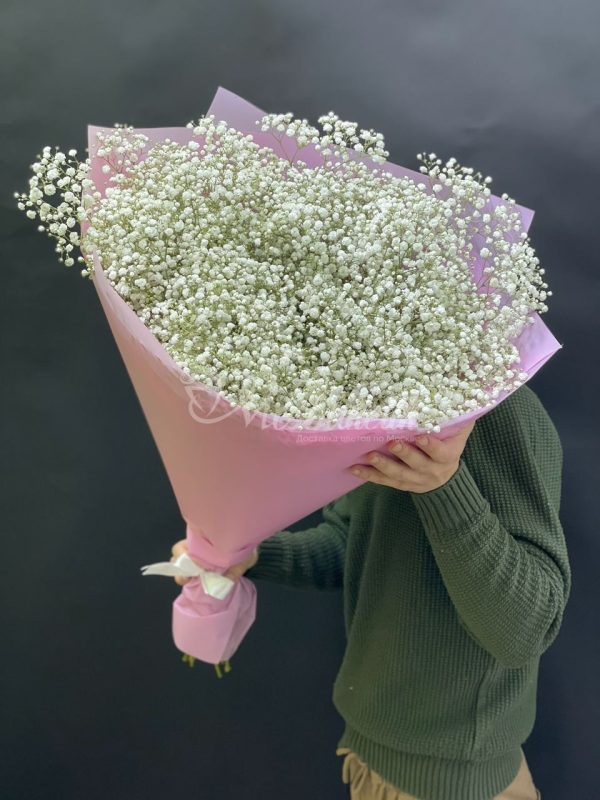 Букет из 25шт гипсофил