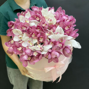 Композиция из 45 орхидей цимбидиум в коробке