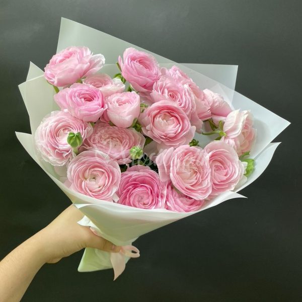 Букет из 19 розовых ранункулюсов