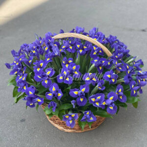 101 ирисов в корзине