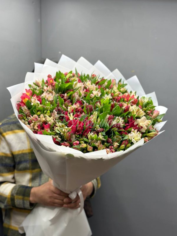 Букет из 49 альстромерий