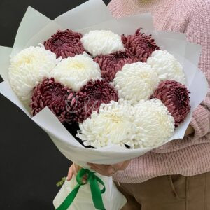 Букет из 13 микс белых и бордовых хризантем