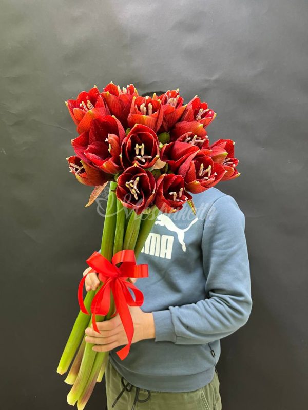 Букет из 5 красных амариллисов — изображение 7