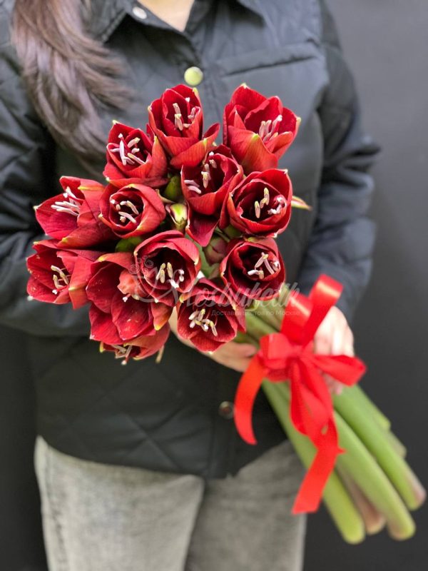 Букет из 5 красных амариллисов — изображение 4