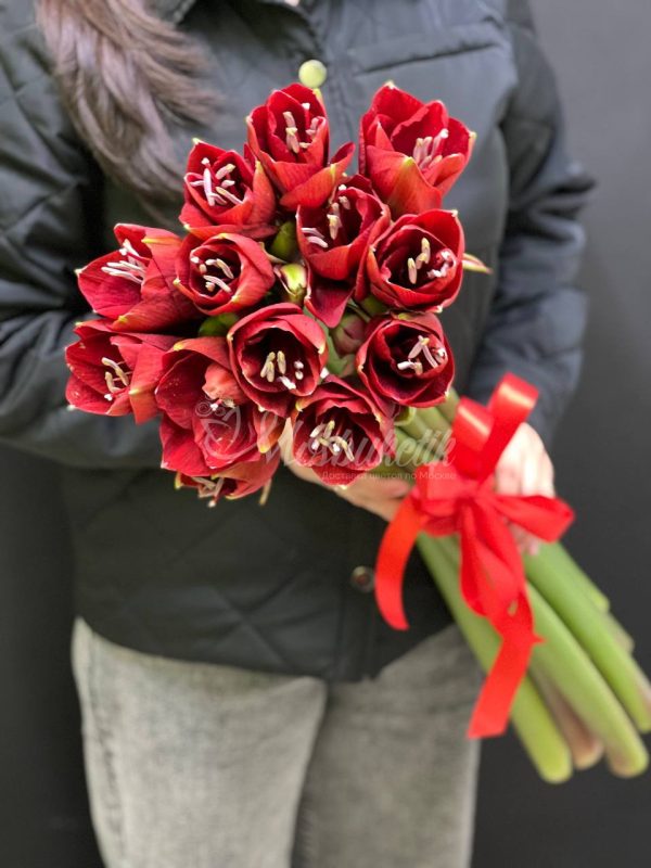 Букет из 5 красных амариллисов — изображение 5