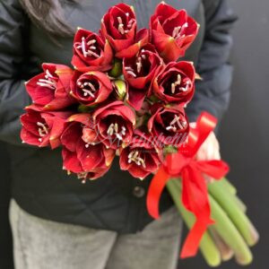 Букет из 5 красных амариллисов