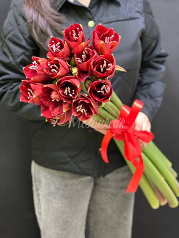 Букет из 5 красных амариллисов — изображение 8