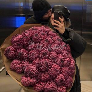 Букет из 51 фиолетовых шаровидных хризантем