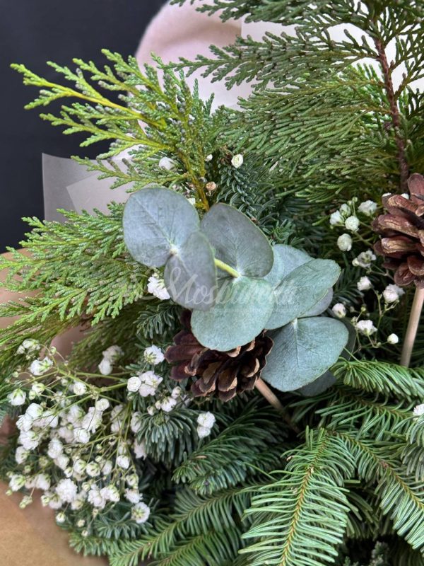 Лесное чудо 🌲✨ — изображение 4