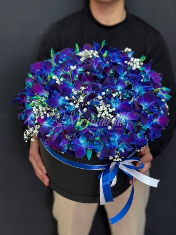 Орхидея в коробке — изображение 4