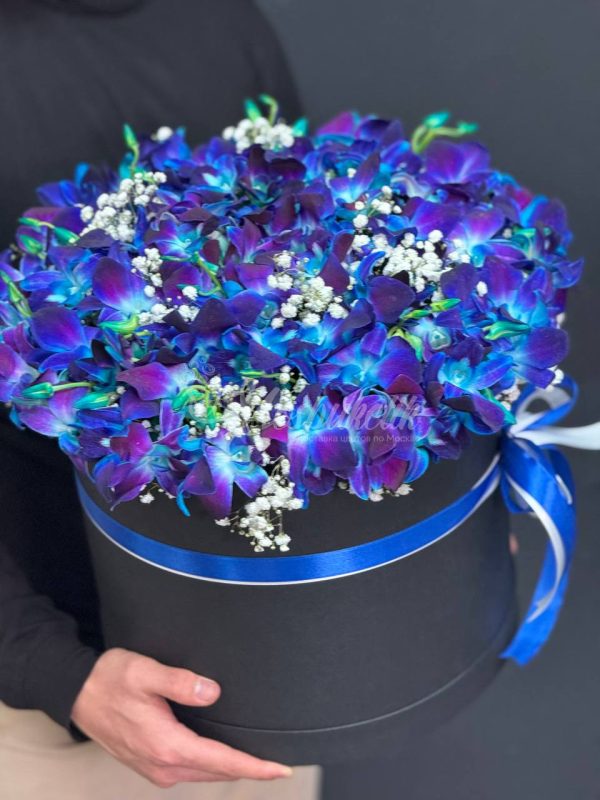 Орхидея в коробке — изображение 6