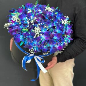 Орхидея в коробке