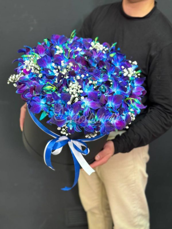 Орхидея в коробке