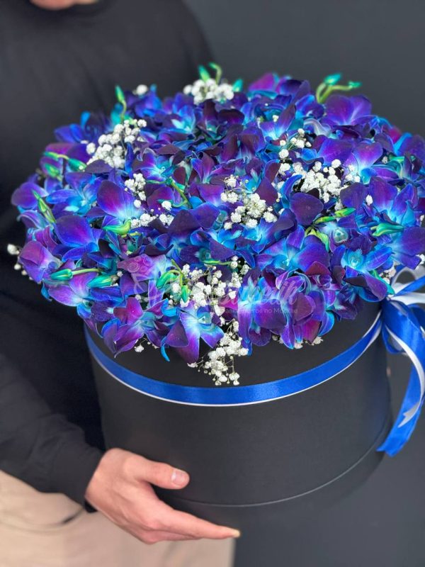 Орхидея в коробке — изображение 2