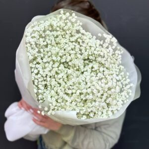 Букет из 9 белых гипсофилы