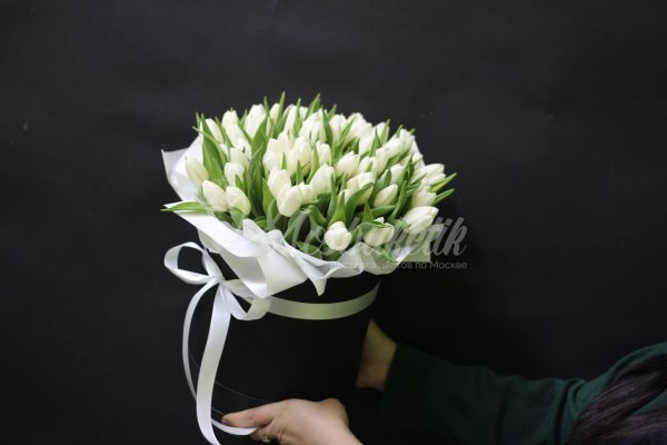 49 тюльпанов в коробке — изображение 4