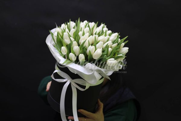 49 тюльпанов в коробке — изображение 3