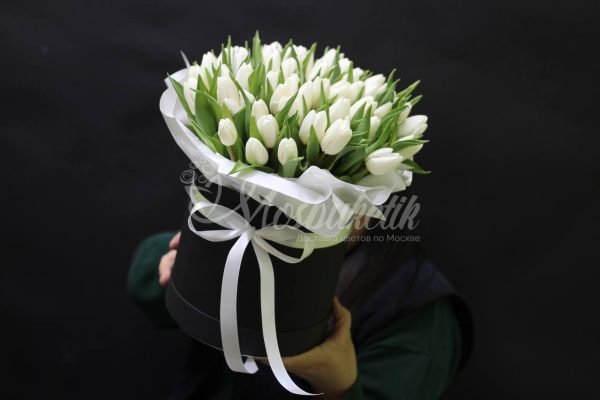 49 тюльпанов в черном коробке