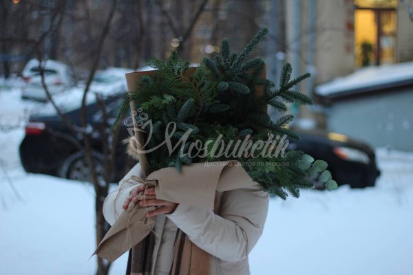 Снежная элегантность ❄️🌲