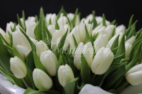 49 тюльпанов в коробке — изображение 5