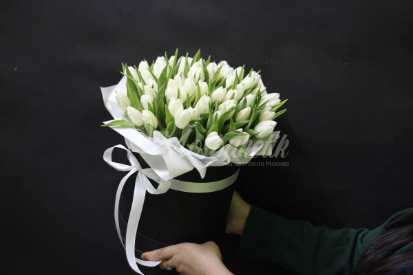 49 тюльпанов в коробке — изображение 2