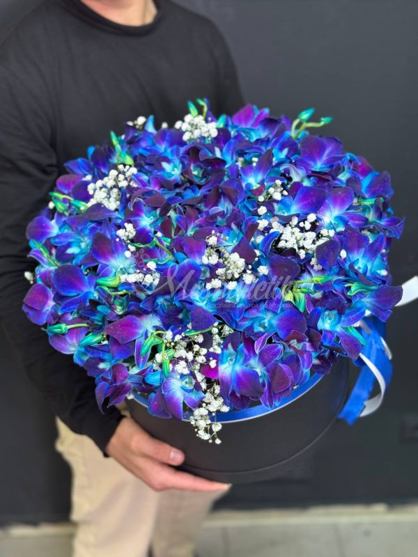 Орхидея в коробке — изображение 7