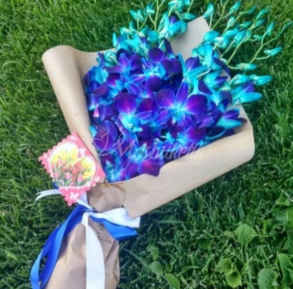 Синий дендробиум