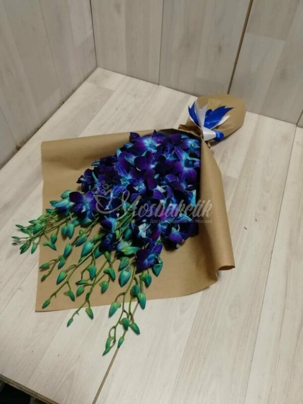 Синий дендробиум — изображение 2