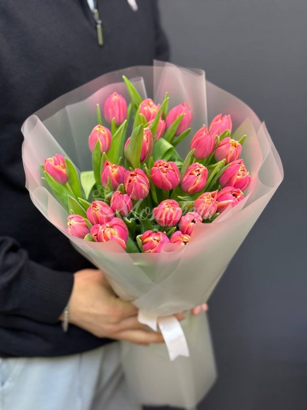 Букет из 25 пионовидных тюльпанов Каламбус — изображение 2