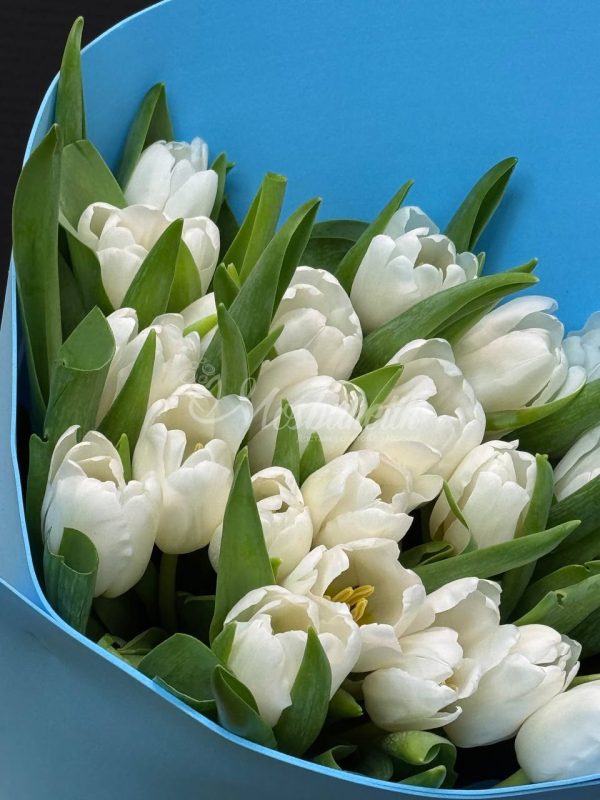 Букет из 25 белых тюльпанов — изображение 2