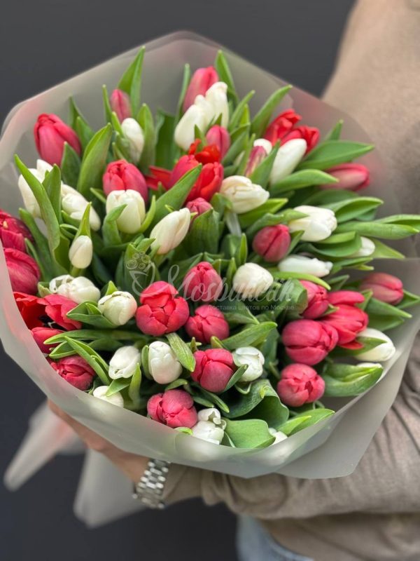 Букет из 51 красных и белых тюльпанов — изображение 6