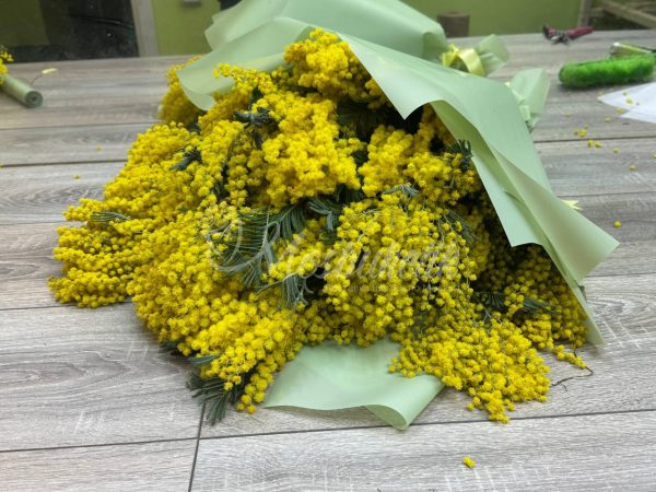 Букет из ароматных мимоз ( 9 веток ) — изображение 3