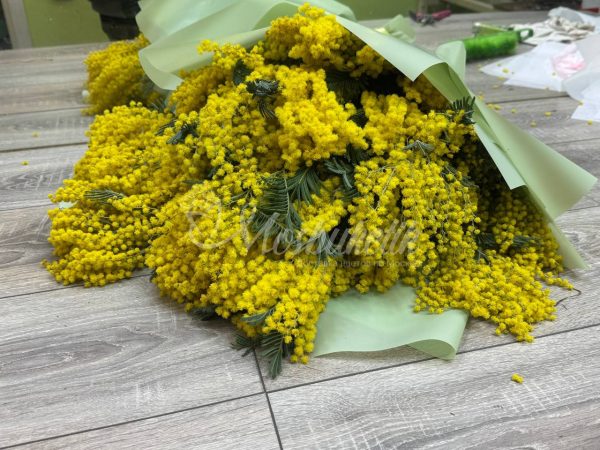 Букет из ароматных мимоз ( 9 веток ) — изображение 2