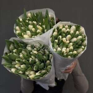 Тюльпаны по пачкам "1 пачка =  (50шт) тюльпанов"