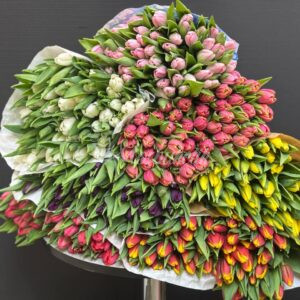 Тюльпаны по пачкам "1 пачка =  (50шт) тюльпанов"