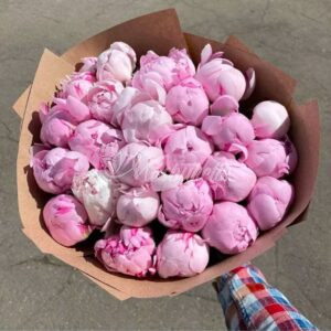 Букет из 25 пионов